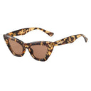Siena Sunglasses-Sunglasses-Rae Collective, Women's Online Fashion Boutique Located in Phoenix, Arizona (Scottsdale Area)