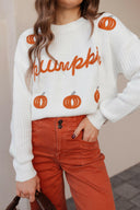 Pumpkin Embroidery Long Sleeve Sweater-Sweaters-Rae Collective, Women's Online Fashion Boutique Located in Phoenix, Arizona (Scottsdale Area)