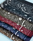 Western Luxe Paisley Satin Bandana Scarf