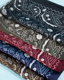 Western Luxe Paisley Satin Bandana Scarf