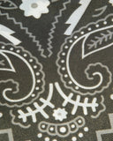 Western Luxe Paisley Satin Bandana Scarf