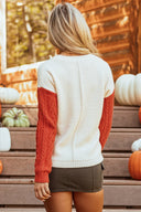 Color Block Round Neck Long Sleeve Sweater-Rae Collective, Women's Online Fashion Boutique Located in Phoenix, Arizona (Scottsdale Area)