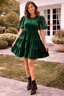 Evergreen Velvet Sequin Sleeve Dress