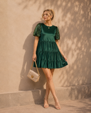 Evergreen Velvet Sequin Sleeve Dress