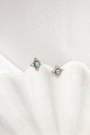 Coastal Charm Stone Stud Earrings-Stud Earrings-Rae Collective, Women's Online Fashion Boutique Located in Phoenix, Arizona (Scottsdale Area)