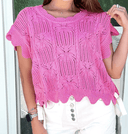 Weekend Cutie Pointelle Knit Scalloped Trim Short Sleeve