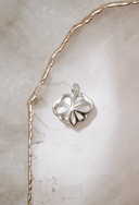 White Shell Droplet Pendant-Pendant Necklaces-Krush Kandy, Women's Online Fashion Boutique Located in Phoenix, Arizona (Scottsdale Area)