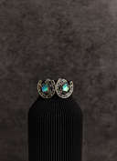 Starry Horseshoe Stone Earrings-Stud Earrings-Rae Collective, Women's Online Fashion Boutique Located in Phoenix, Arizona (Scottsdale Area)