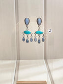 Blue Lace and Muhave and White Buffalo Earrings S.No-24