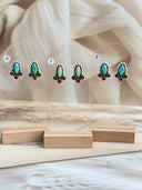 Amber and Premium Earrings S.No-14