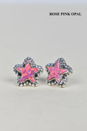 Shine Single Stone Star Stud Earring-Stud Earrings-Krush Kandy, Women's Online Fashion Boutique Located in Phoenix, Arizona (Scottsdale Area)