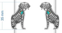Sterling Dog Duo Skeleton Stone Cuff-Bracelets-Krush Kandy, Women's Online Fashion Boutique Located in Phoenix, Arizona (Scottsdale Area)